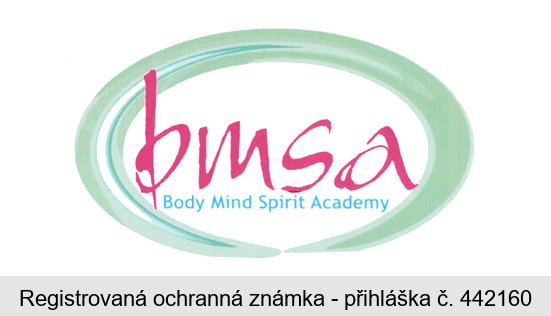 bmsa Body Mind Spirit Academy