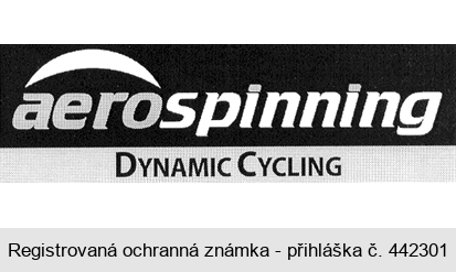 aerospinning DYNAMIC CYCLING