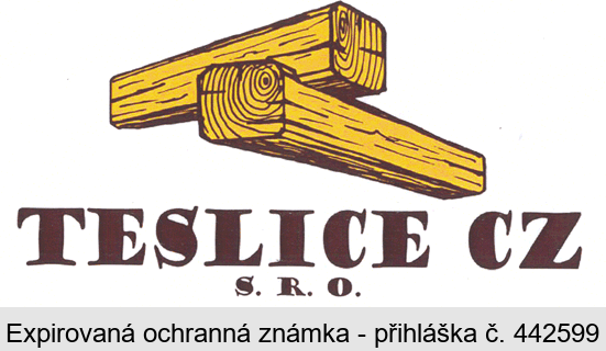 TESLICE CZ S. R. O.