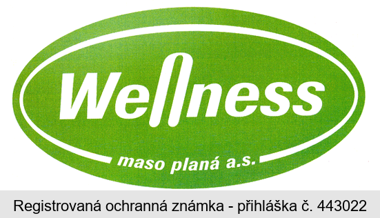 Wellness maso planá a.s.