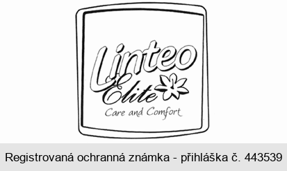 Linteo Elite Care and Comfort