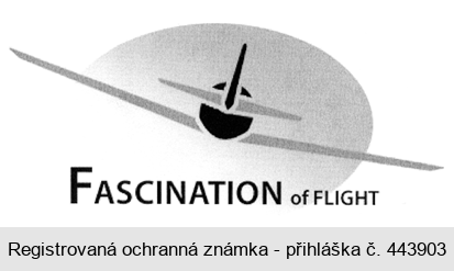 FASCINATION of FLIGHT
