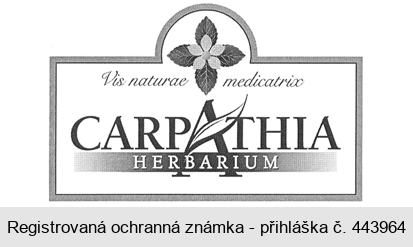 CARPATHIA HERBARIUM Vis naturae medicatrix