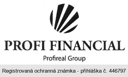 PROFI FINANCIAL Profireal Group
