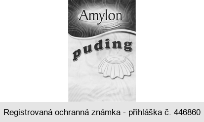 Amylon puding