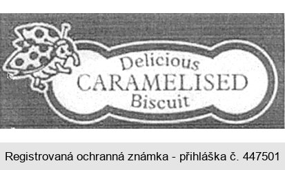 Delicious CARAMELISED Biscuit