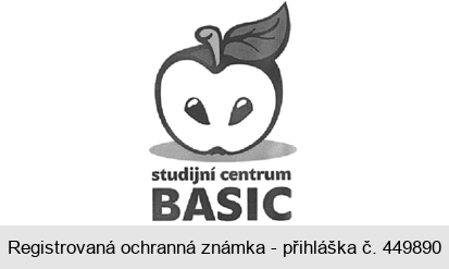 studijní centrum BASIC