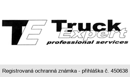 TE Truck Expert professional services