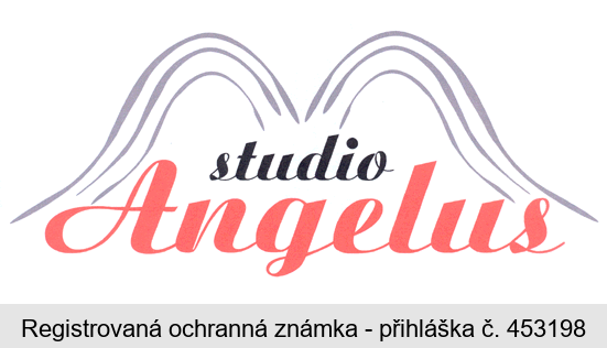 studio Angelus