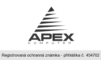 APEX COMPUTERS