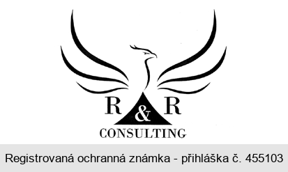 R & R CONSULTING