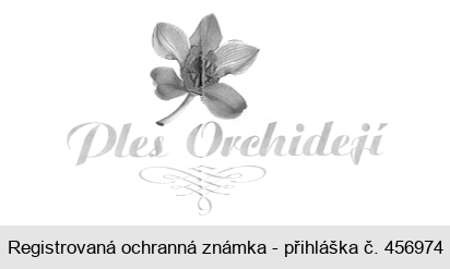 Ples Orchidejí