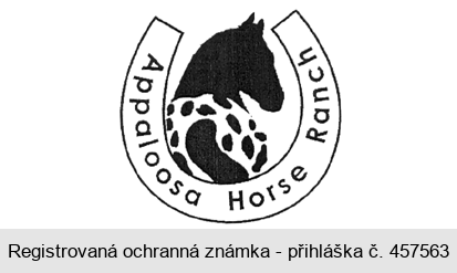 Appaloosa Horse Ranch