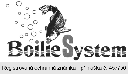 BoilieSystem