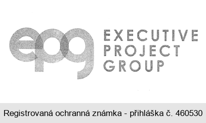 epg EXECUTIVE PROJECT GROUP