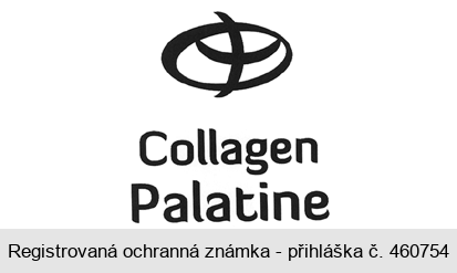 Collagen Palatine