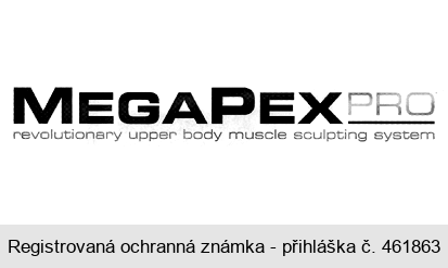 MEGAPEX PRO revolutionary upper body muscle sculpting system
