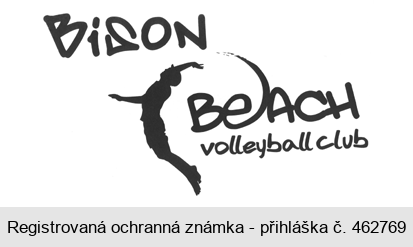 BiSON BEACH volleyball club