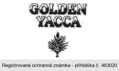 GOLDEN YACCA