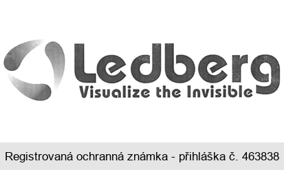 Ledberg Visualize the Invisible