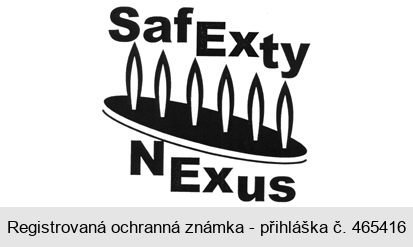 SafExty NExus