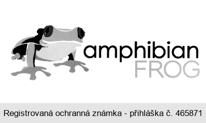 amphibian FROG