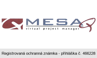 MESAQ virtual project manager