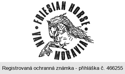 FRIESIAN HORSE VAN MORAVIA