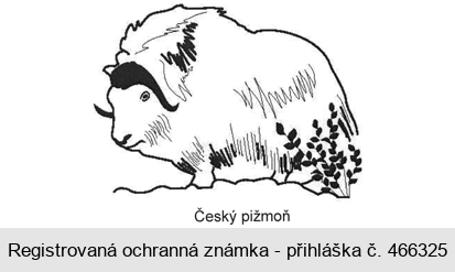 Český pižmoň