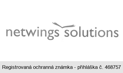 netwings solutions