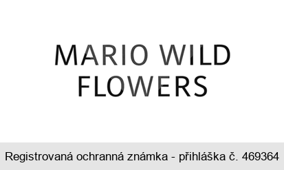MARIO WILD FLOWERS
