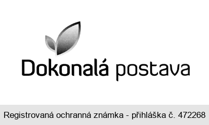 Dokonalá postava