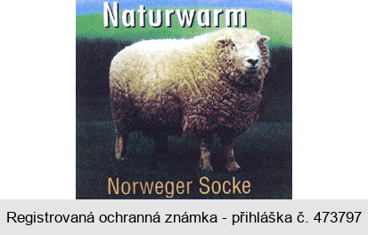 Naturwarm Norweger Socke