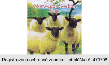 Norweger Socken Wolle
