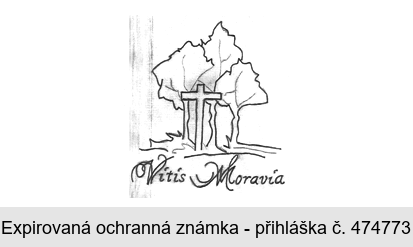 Vitis Moravia
