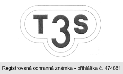 T3S
