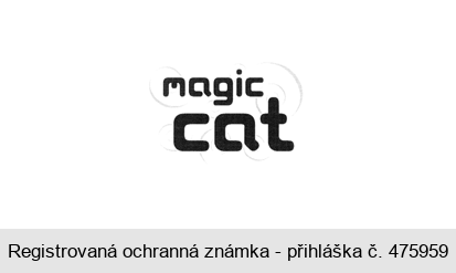 magic cat