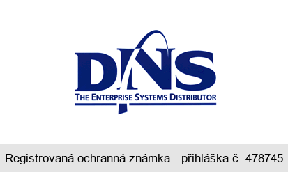 DNS THE ENTERPRISE SYSTEMS DISTRIBUTOR