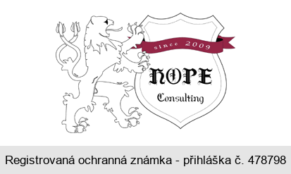 since 2009 HOPE Consulting