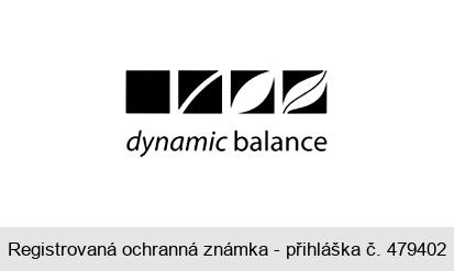 dynamic balance