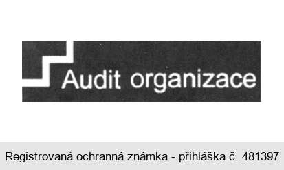 Audit organizace