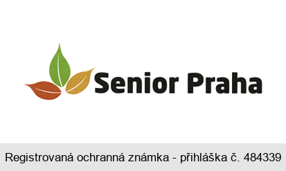 Senior Praha