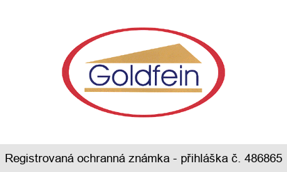 Goldfein