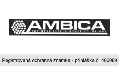 AMBICA BUSINESS INTELLIGENCE SOLUTIONS