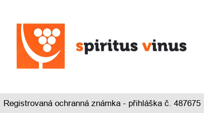 spiritus vinus