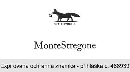 VITIS STRIGIS MonteStregone