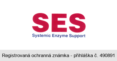 SES Systemic Enzyme Support
