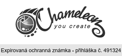 Chameleon you create