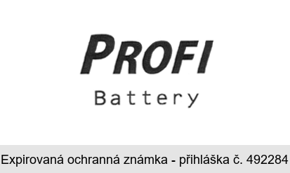 PROFI Battery