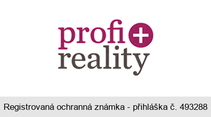 profi + reality